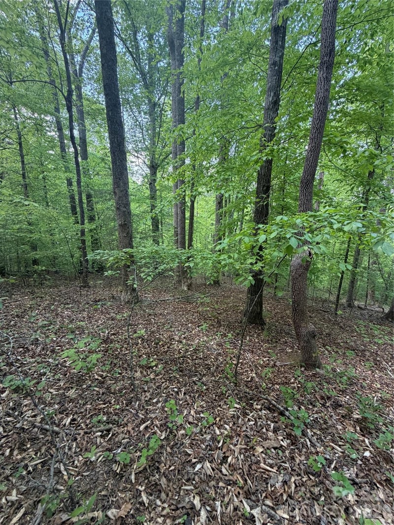 Overstone Dr #284, Rutherfordton, NC 28139