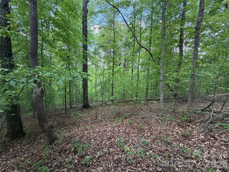 Overstone Dr #284, Rutherfordton, NC 28139