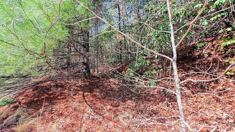 000 Jeter Mountain Rd, Hendersonville, NC 28739