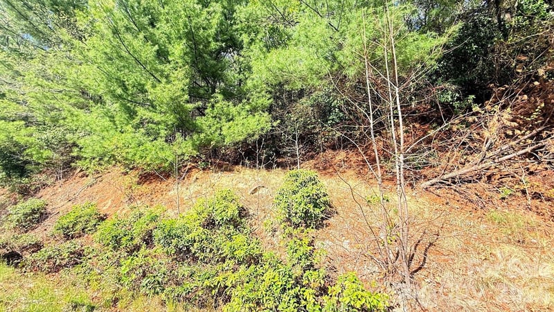 000 Jeter Mountain Rd, Hendersonville, NC 28739