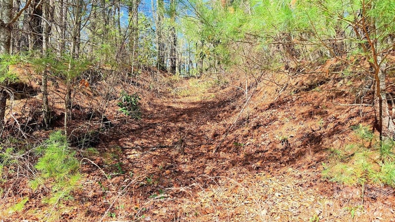 000 Jeter Mountain Rd, Hendersonville, NC 28739