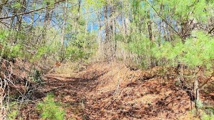 000 Jeter Mountain Rd, Hendersonville, NC 28739