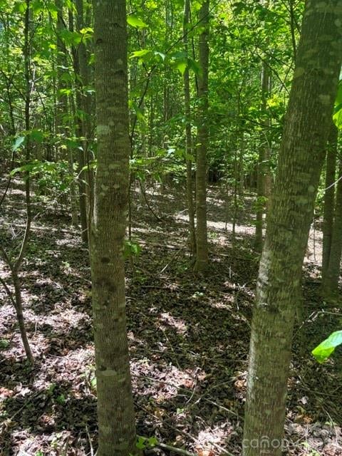Pine Hill Ave, Morganton, NC 28655