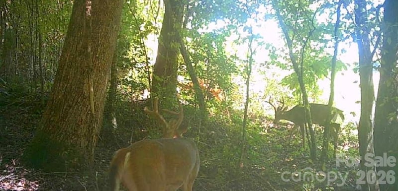 Pine Hill Ave, Morganton, NC 28655