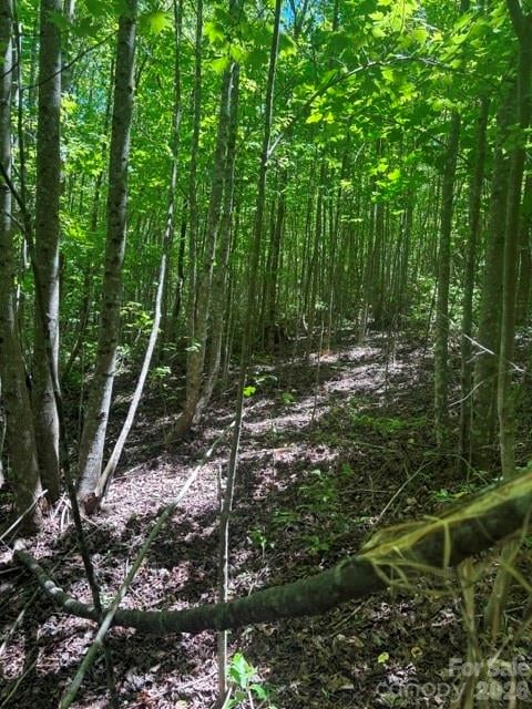 Pine Hill Ave, Morganton, NC 28655