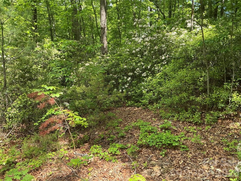 00 Green River Cove Rd, Saluda, NC 28773