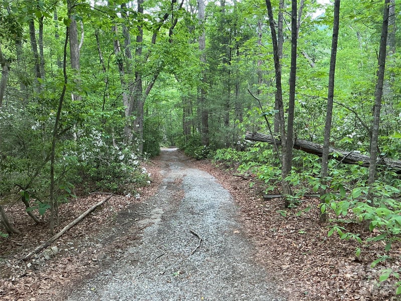 00 Green River Cove Rd, Saluda, NC 28773
