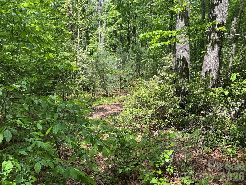 00 Green River Cove Rd, Saluda, NC 28773