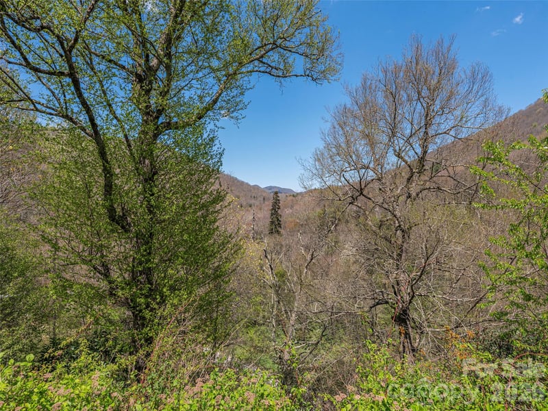 240 Plott Balsam Rd, Maggie Valley, NC 28751