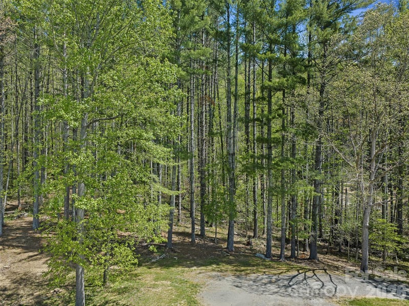 Satinwood Dr, Burnsville, NC 28714
