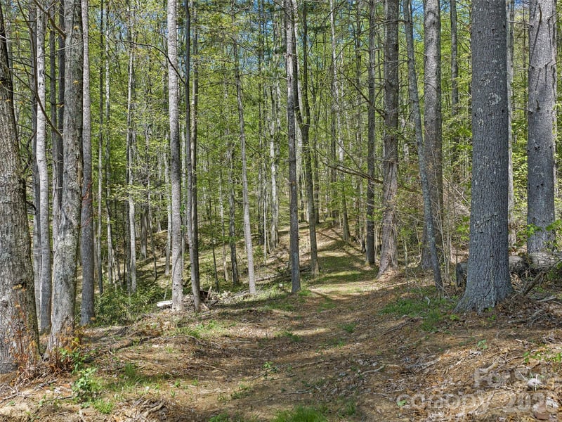Satinwood Dr, Burnsville, NC 28714