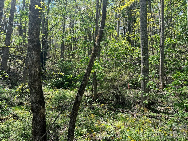 Buckeye Creek Rd #34, Beech Mountain, NC 28622