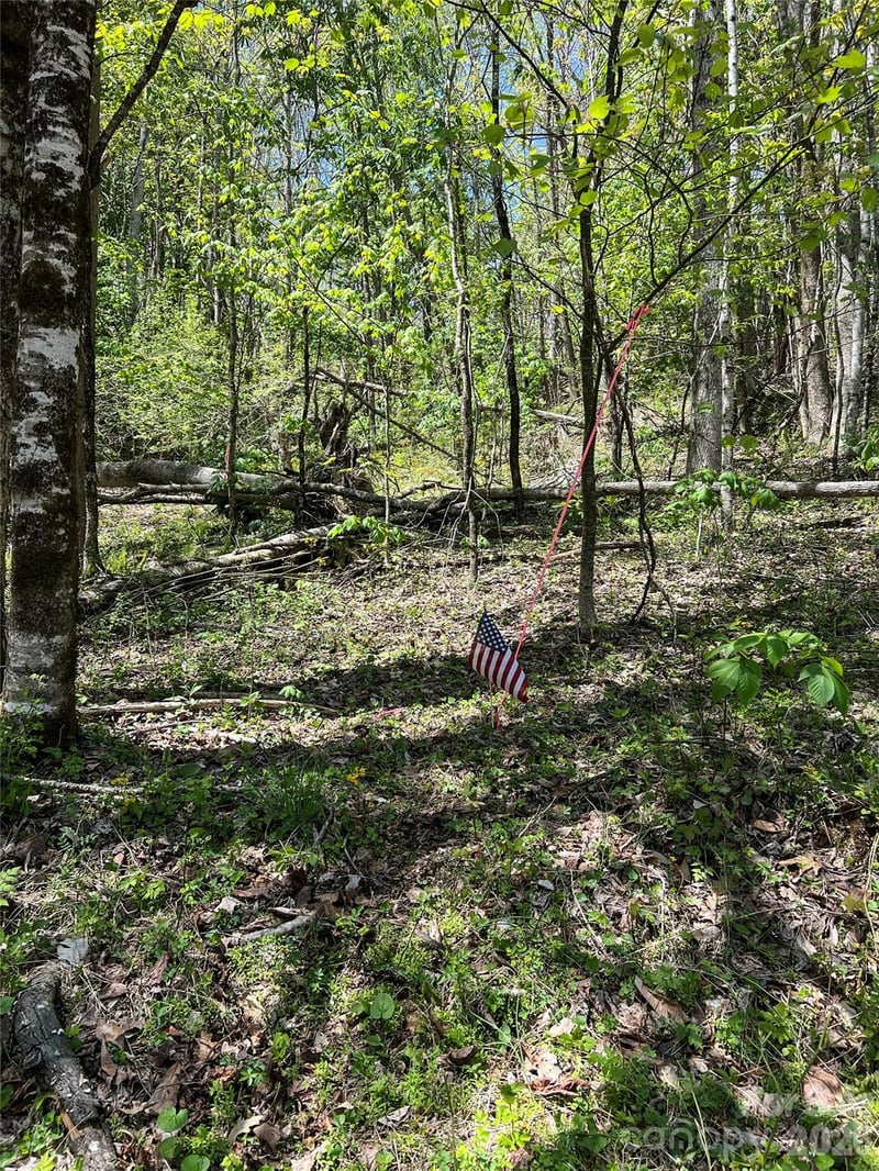 Buckeye Creek Rd #34, Beech Mountain, NC 28622