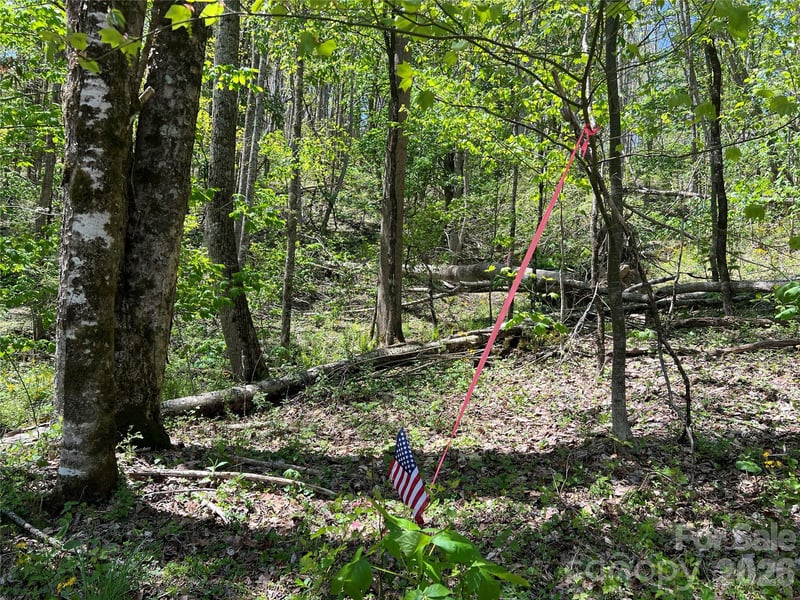 Buckeye Creek Rd #34, Beech Mountain, NC 28622