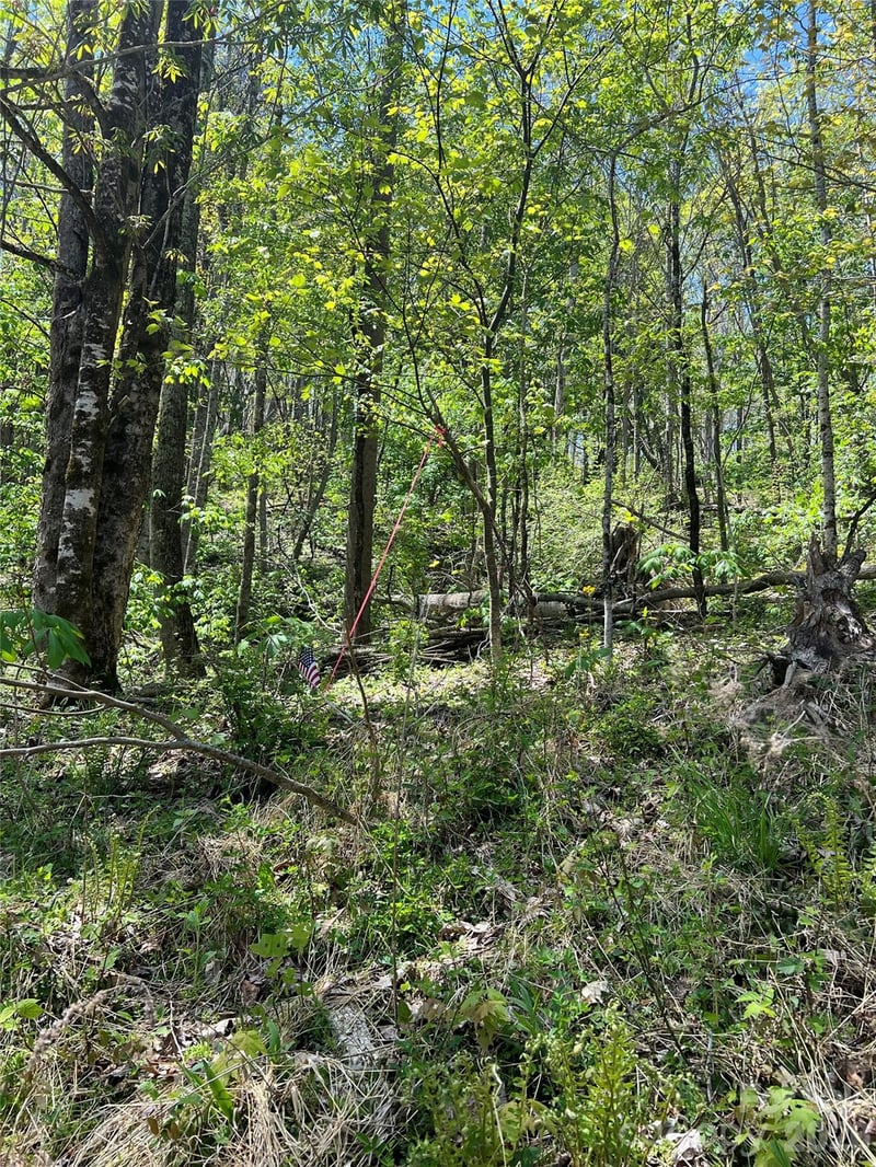 Buckeye Creek Rd #34, Beech Mountain, NC 28622
