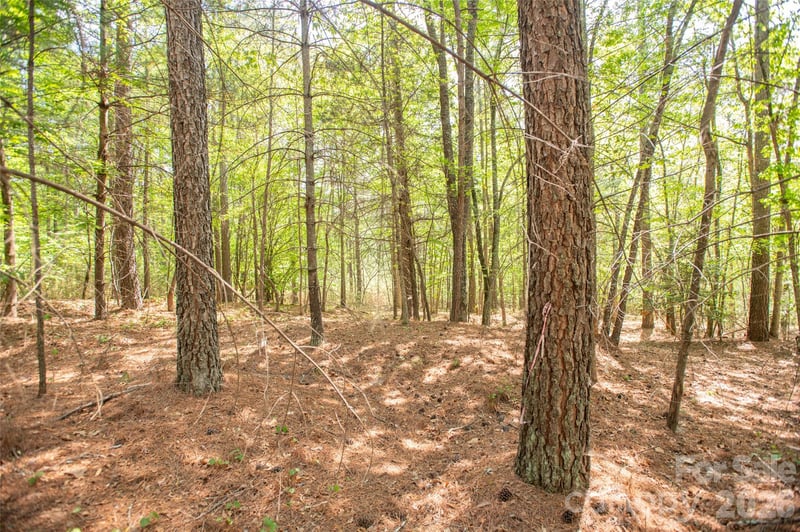 1518 Paradise Harbor Dr, Connelly Springs, NC 28612