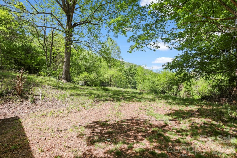 1007 Fork Rd, Barnardsville, NC 28709