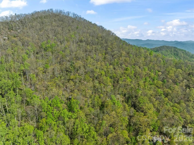 21 Reillys Bluff Rd #1, Barnardsville, NC 28709