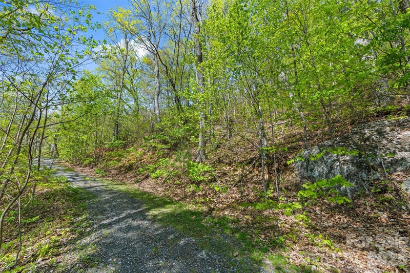 21 Reillys Bluff Rd #1, Barnardsville, NC 28709