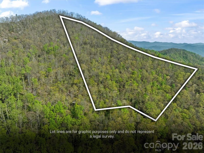 21 Reillys Bluff Rd #1, Barnardsville, NC 28709
