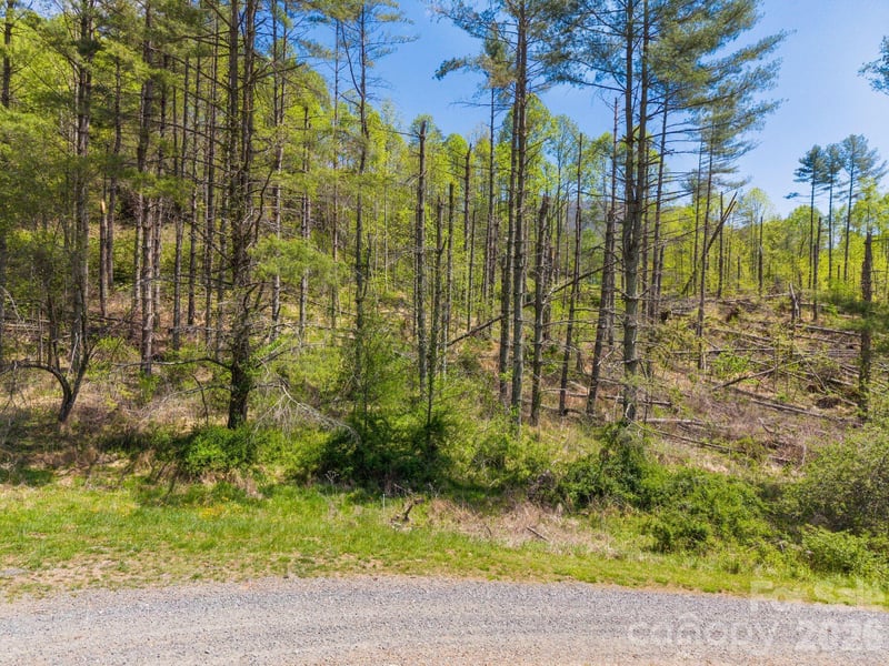 00000 White Pine Ln #19, Bakersville, NC 28705