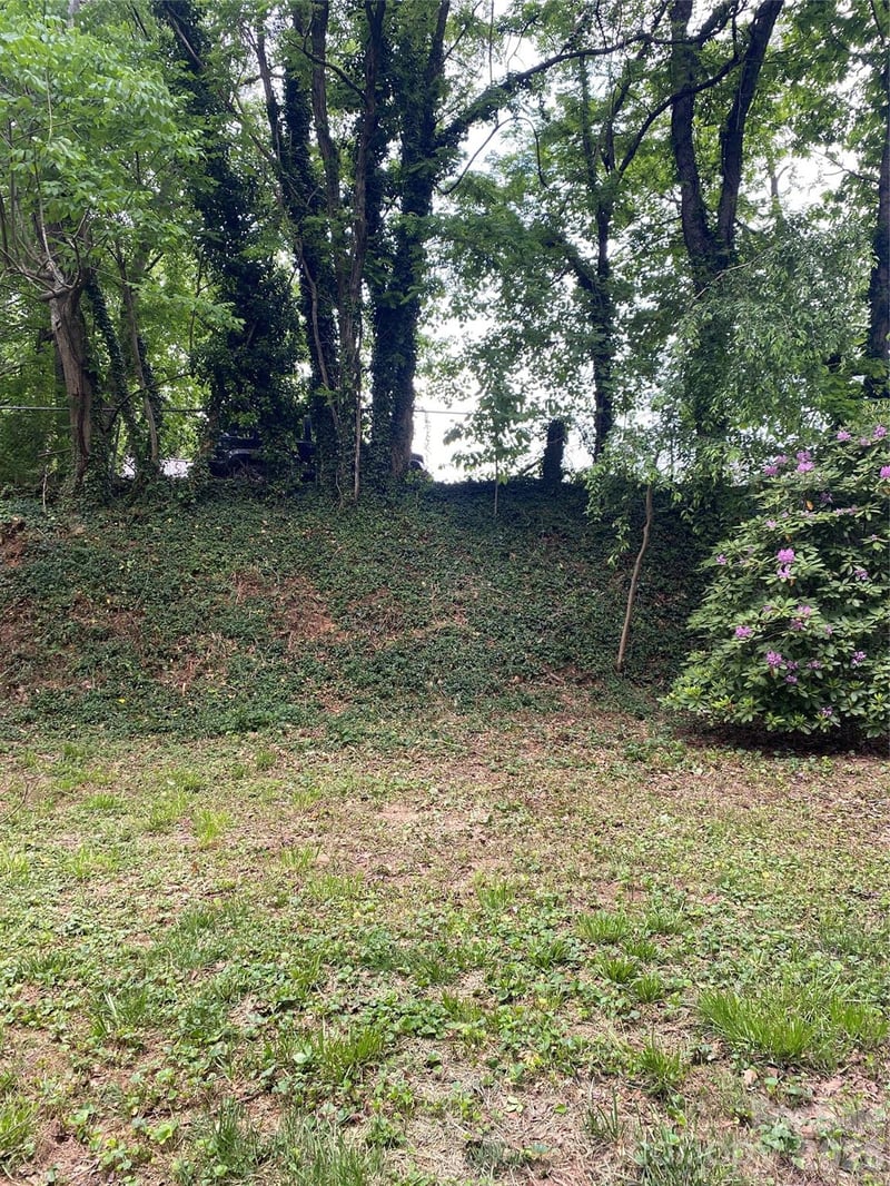 TBD Lilac St, Asheville, NC 28806