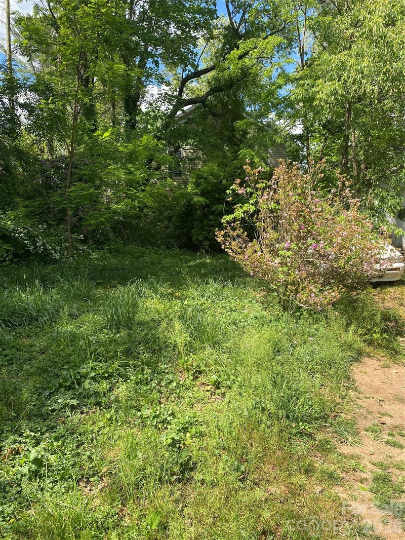TBD Lilac St, Asheville, NC 28806