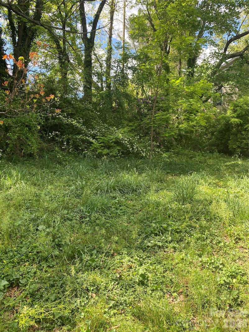 TBD Lilac St, Asheville, NC 28806