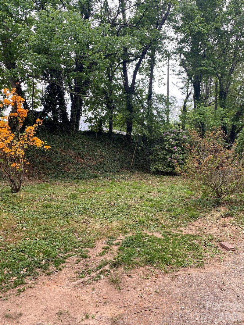 TBD Lilac St, Asheville, NC 28806