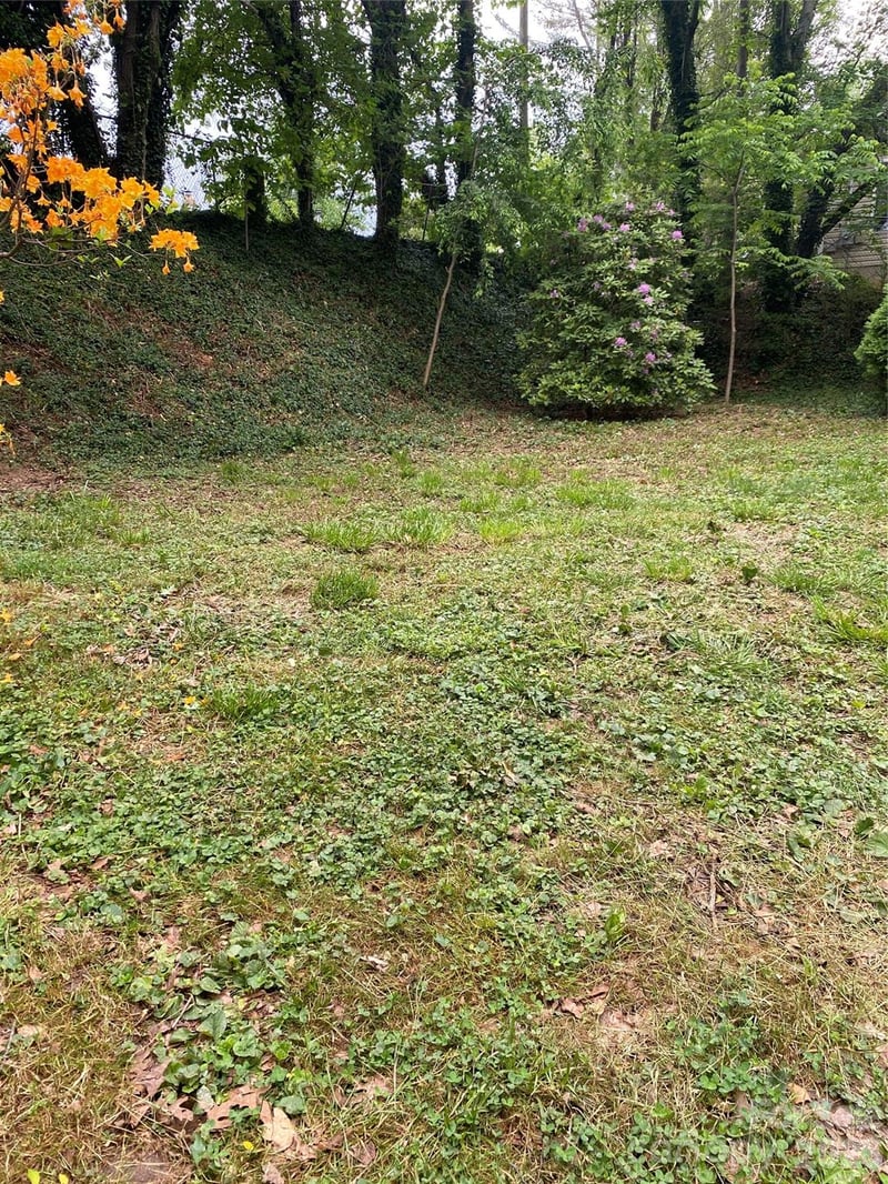 TBD Lilac St, Asheville, NC 28806
