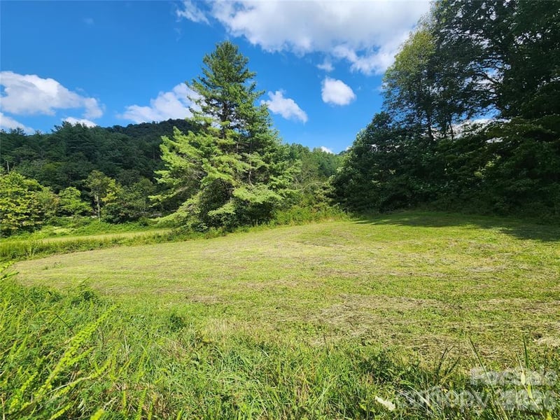 5570 Meadow Fork Rd, Hot Springs, NC 28743
