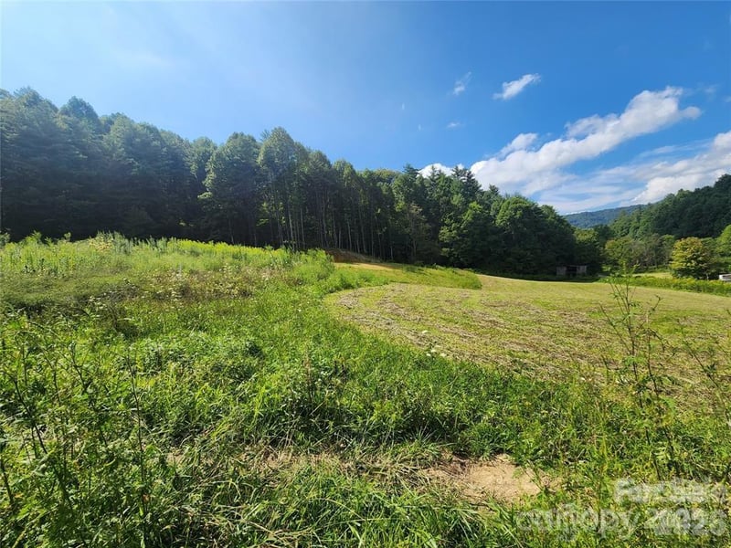 5570 Meadow Fork Rd, Hot Springs, NC 28743