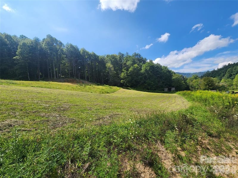 5570 Meadow Fork Rd, Hot Springs, NC 28743