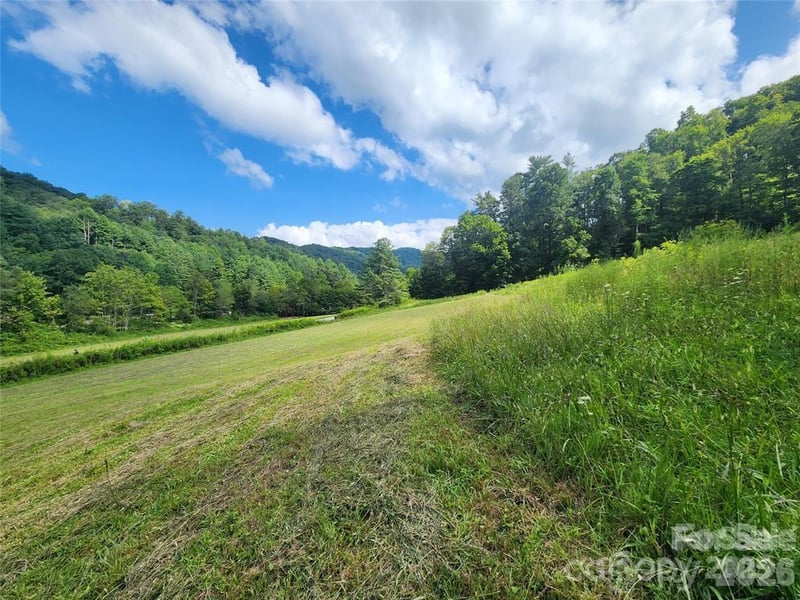 5570 Meadow Fork Rd, Hot Springs, NC 28743