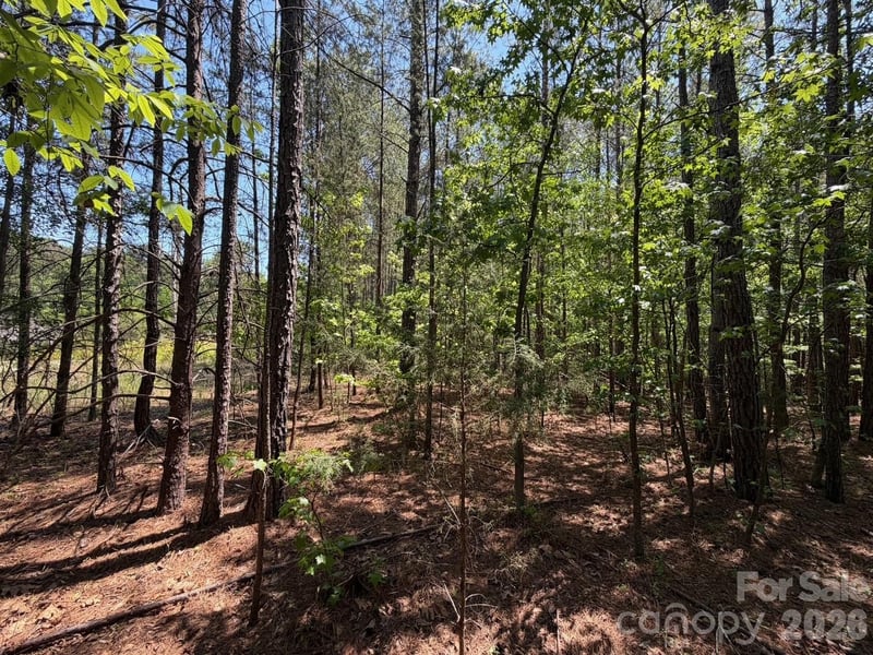 5 AC Terry Drive Hw, Union, SC 29379