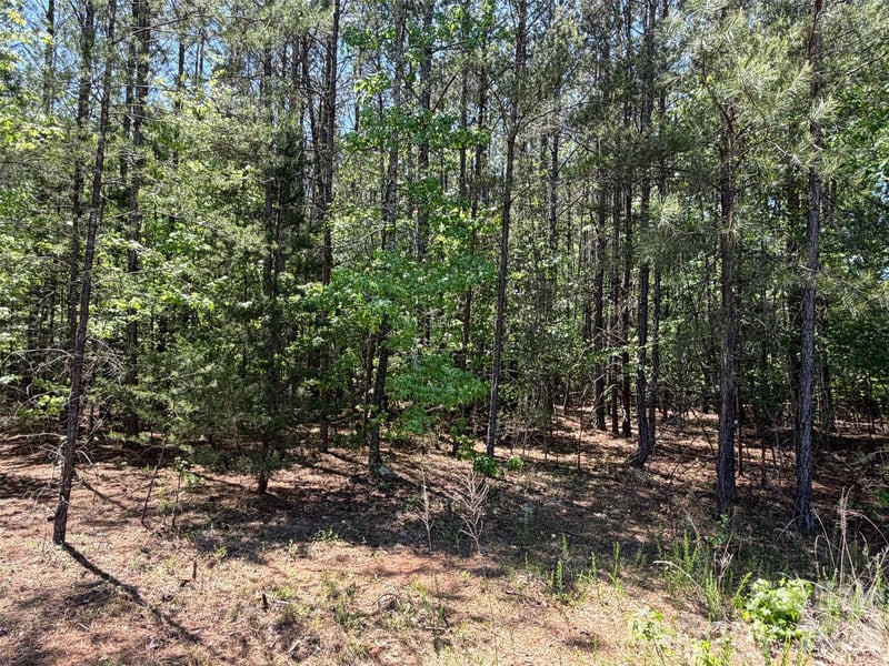 5 AC Terry Drive Hw, Union, SC 29379
