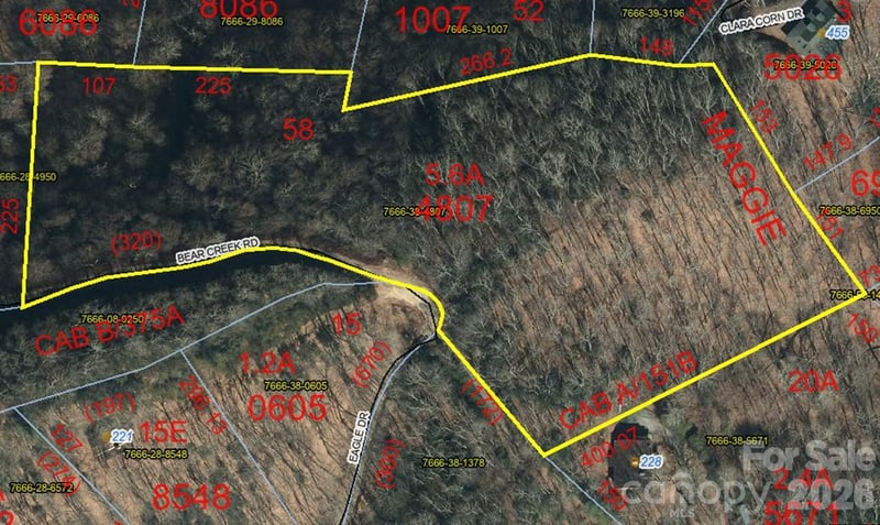 0000 Bear Creek Rd, Maggie Valley, NC 28721