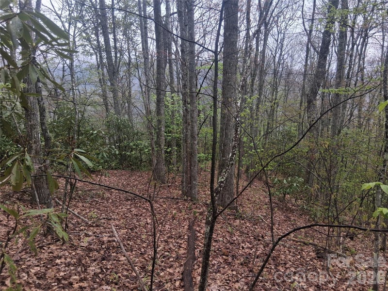 0000 Bear Creek Rd, Maggie Valley, NC 28721