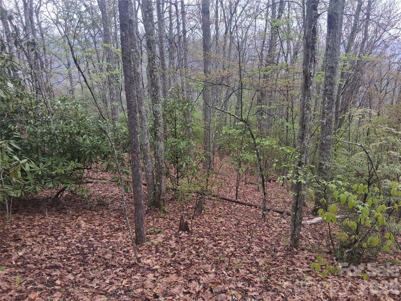 0000 Bear Creek Rd, Maggie Valley, NC 28721
