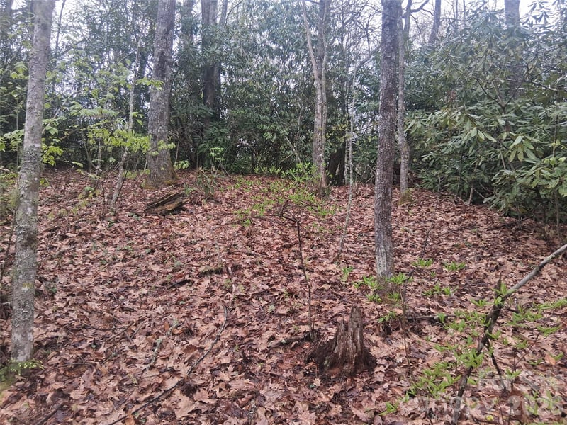 0000 Bear Creek Rd, Maggie Valley, NC 28721