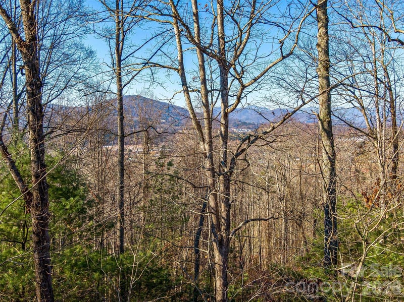 92 Chimney Crest Dr, Asheville, NC 28806