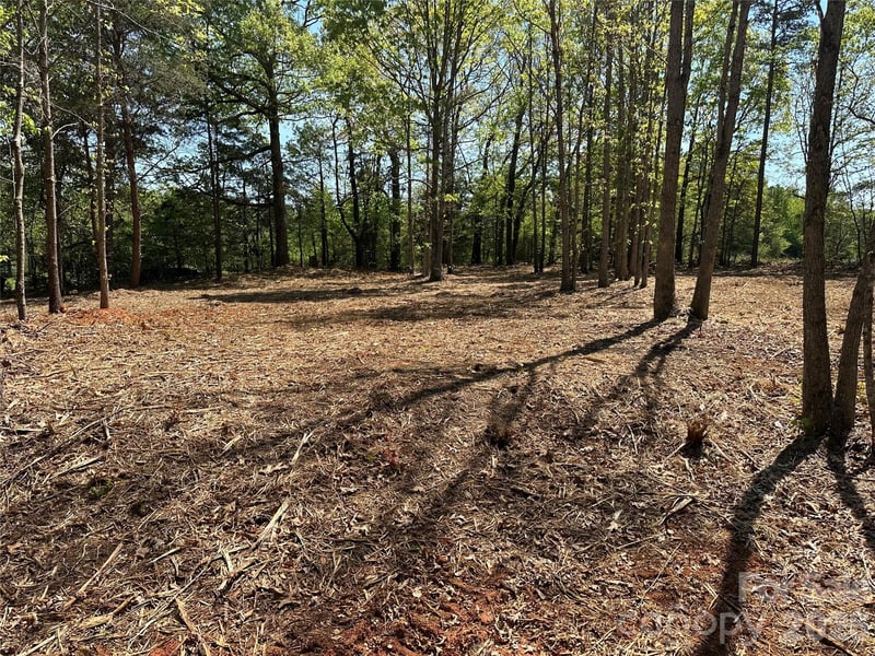 122 Long Leaf Pine Dr Lot 1, Hiddenite, NC 28636