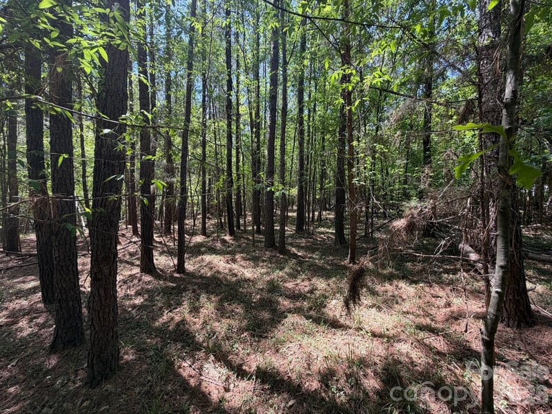 7 AC Terry Drive Hw, Union, SC 29379