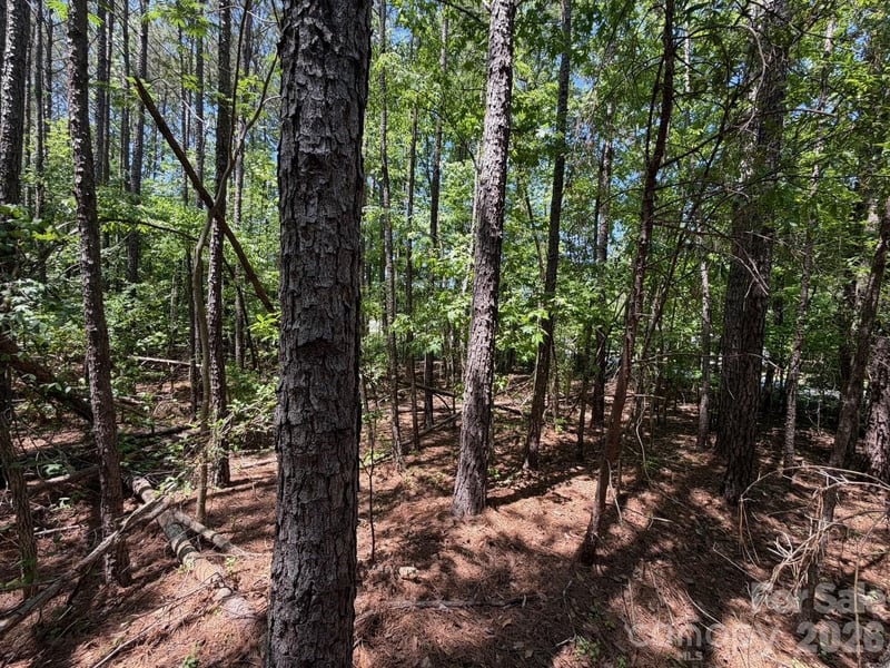 7 AC Terry Drive Hw, Union, SC 29379
