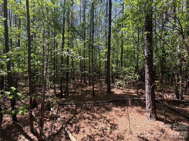7 AC Terry Drive Hw, Union, SC 29379