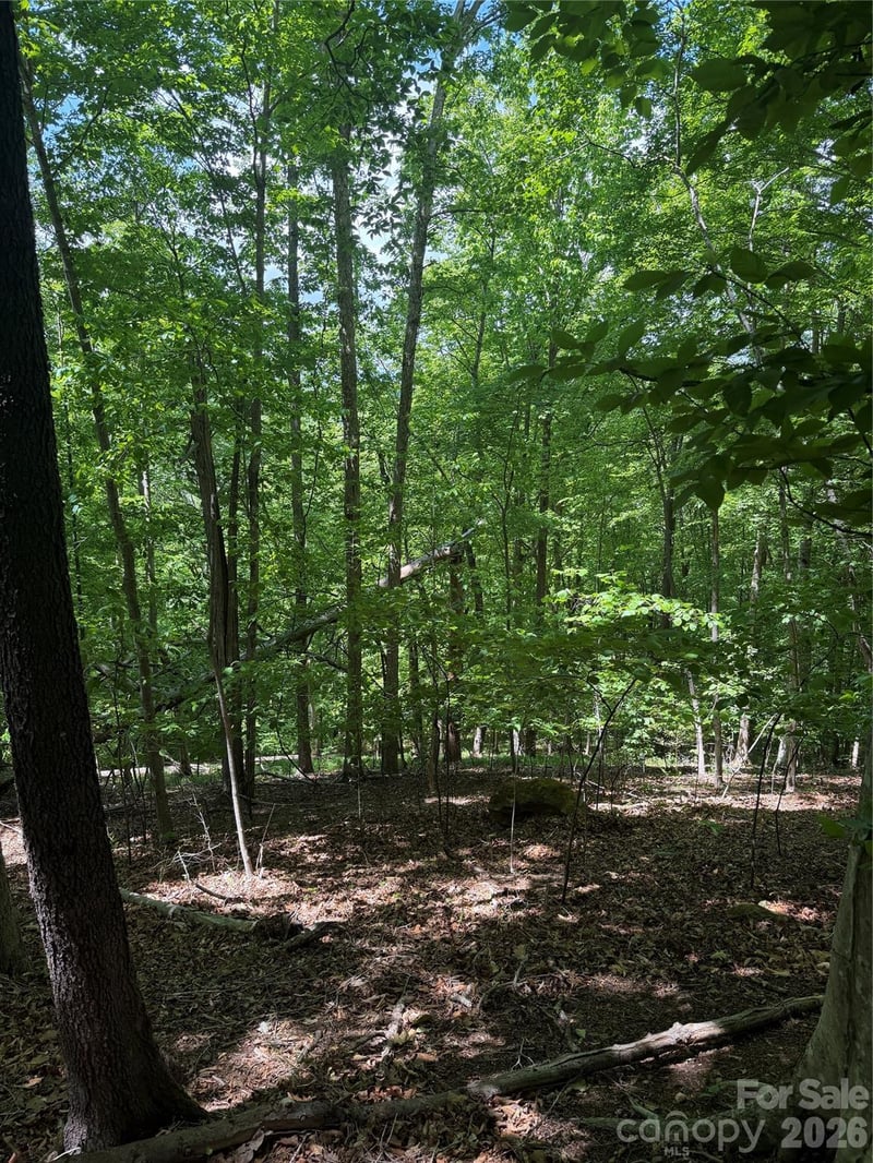 Creekside Cir #135, Rutherfordton, NC 28139