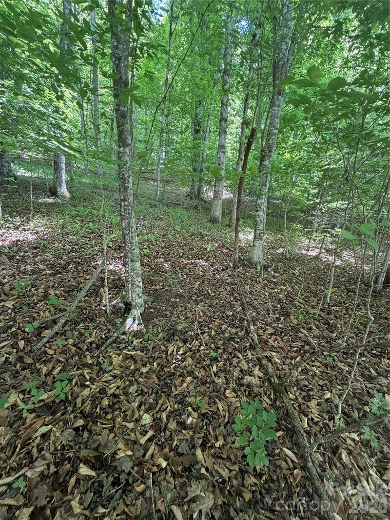 Creekside Cir #135, Rutherfordton, NC 28139
