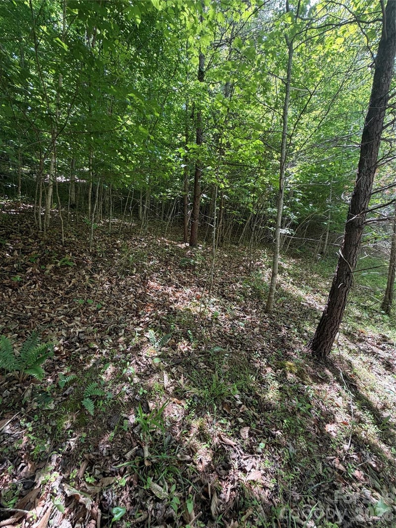 Creekside Cir #135, Rutherfordton, NC 28139