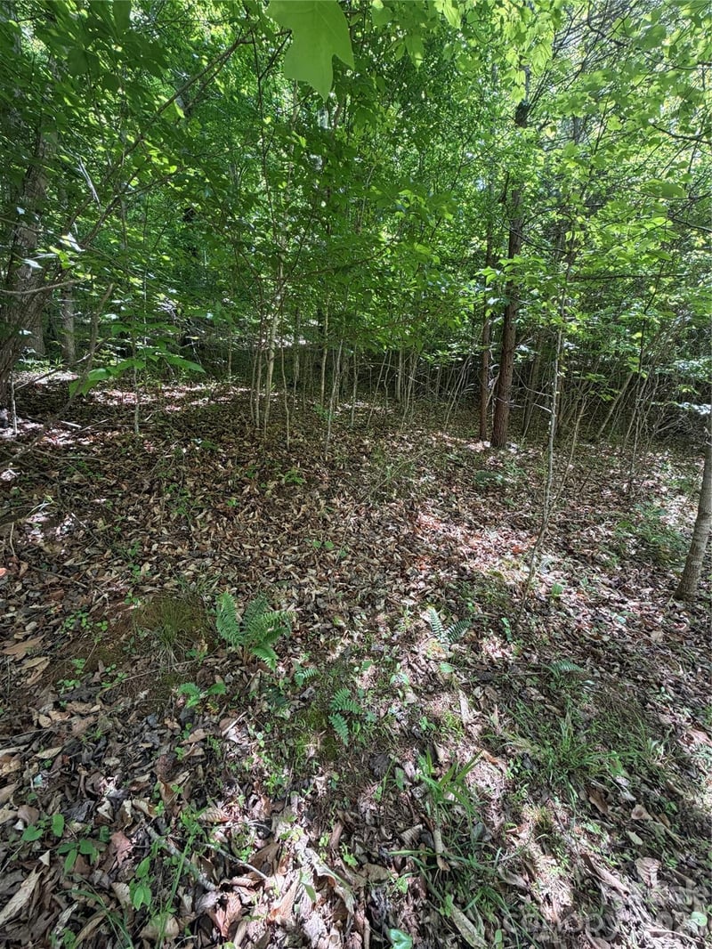 Creekside Cir #135, Rutherfordton, NC 28139