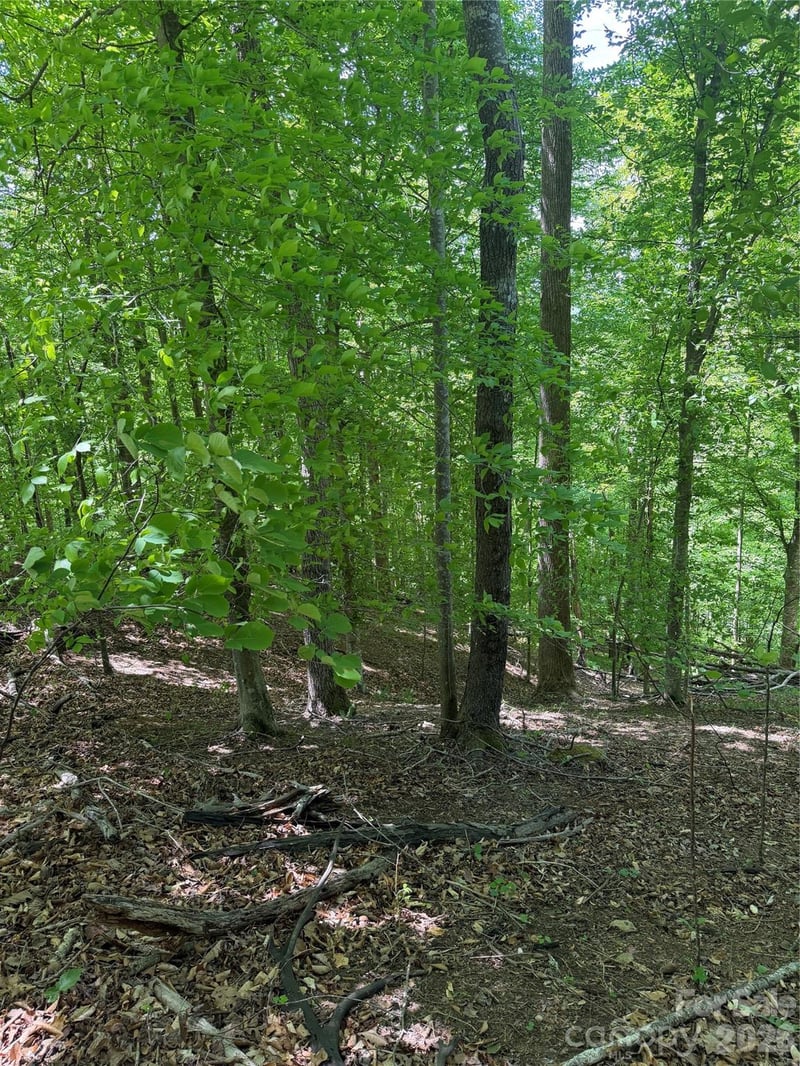 Creekside Cir #135, Rutherfordton, NC 28139